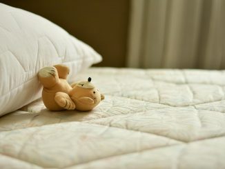 mattress, bed, pillow, sleep, relax, relaxation, rest, place to sleep, bedding, lie, teddy, bedroom, teddy bear, stuffed animal, toy, cute, mattress, mattress, mattress, mattress, mattress, bed, bed, bed, bed, sleep, sleep, bedroom