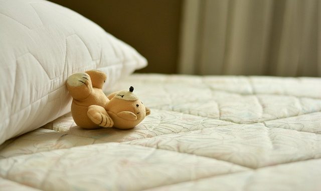 mattress, bed, pillow, sleep, relax, relaxation, rest, place to sleep, bedding, lie, teddy, bedroom, teddy bear, stuffed animal, toy, cute, mattress, mattress, mattress, mattress, mattress, bed, bed, bed, bed, sleep, sleep, bedroom