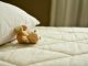mattress, bed, pillow, sleep, relax, relaxation, rest, place to sleep, bedding, lie, teddy, bedroom, teddy bear, stuffed animal, toy, cute, mattress, mattress, mattress, mattress, mattress, bed, bed, bed, bed, sleep, sleep, bedroom