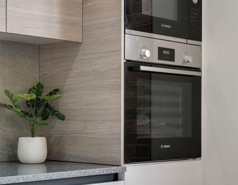 A sleek modern kitchen showcases built-in appliances with a chic plant accent on the countertop.